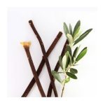 Olive-Miswak-2